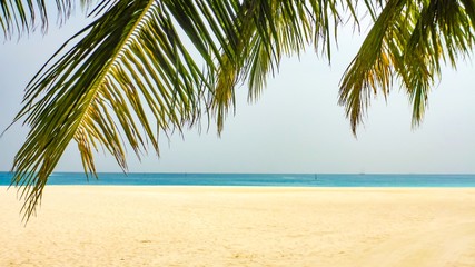 Palm leaf over white sand beach and turquoise sea, Maldives.