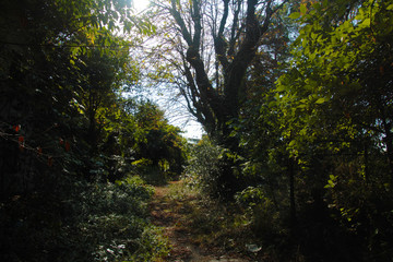 parco