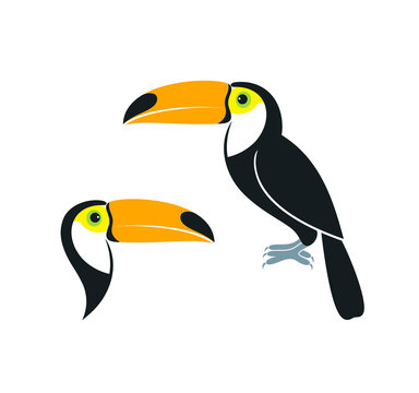 Toucan logo. Isolated toucan on white background 