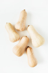 Flat lay of pumpkins collage. Top view autumn background.