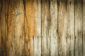 Decay wooden wall backgrounds and texture damaged by termites