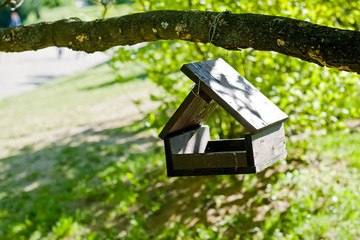 Wooden birdhouse in the park