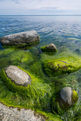 rocks and stones in the water