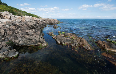 Fototapeta na wymiar coast of the baltic sea in southern sweden