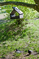 Wooden birdhouse in the park
