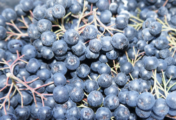 blueberry vitamin crush good food for you