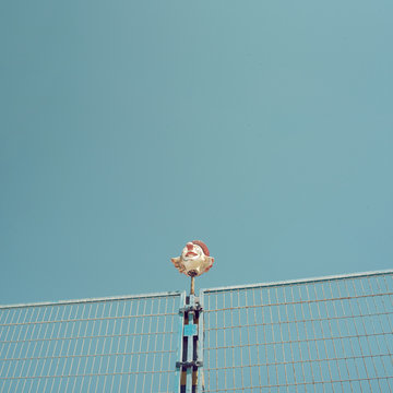 Imagen de cabeza de payaso coronando una verja de una cancha deportiva. Cielo azul despejado, escena diurna