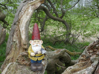 Gartenzwerg  mit rotem Hut, gelber Jacke, braunen Stiefeln. Er hat  eine Axt in der Hand und  steht auf dem vertrockneten Ast eines alten Baumstammes