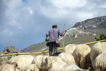 transhumanz eines Schafhirten