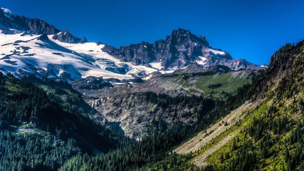 Fototapeta na wymiar View of Mount Rainier in the state of Washington, USA.