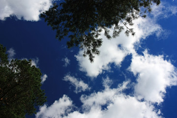 White clouds in a blue sky