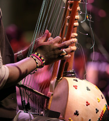 young african man plays a stringed instrument at live concert
