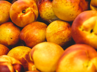 Harvest time peaches