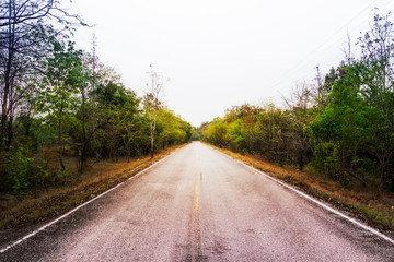Landscape of empty road along the forest.