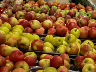 Harvest time apples