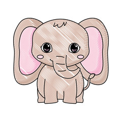 cute animals design