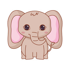 Naklejka premium cute animals design