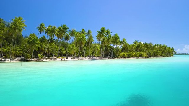 Aerial footage from a drone of clear blue sea, coconut plam trees, white sandy beach at Bora Bora island, Tahiti, French Polynesia, South Pacific Ocean (Bora Bora Aerial)
