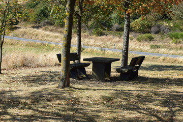 Sitzgruppe im Herbstwald