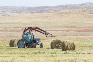 Fototapeta premium tractor unloads bales of hay in the field