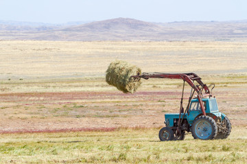 tractor unloads bales of hay in the field