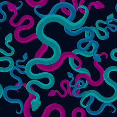 Fototapeta premium Colorful Snake Pattern