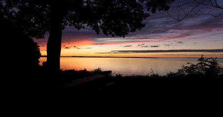 Sunset silhouette with tree and picnic table