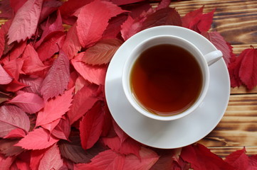 red autumn leaves and a cup of hot tea