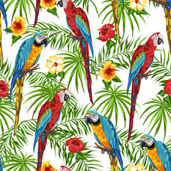 Modèle sans couture tropical avec des perroquets.