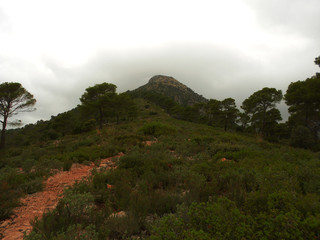 CAMINO HACIA LAS CUMBRES