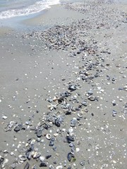 Spiaggia