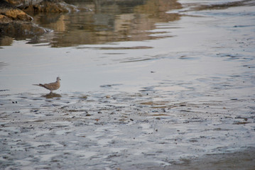 sea water along the coast