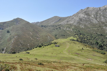Fototapeta na wymiar Paisaje montaña