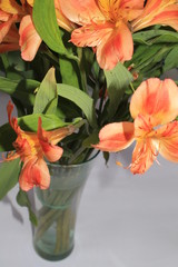 a bouquet of orchids is in a vase 