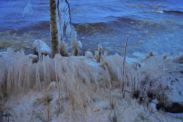 winter landscape with a river and trees