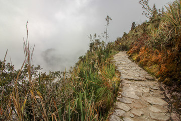 Walking the Inca trail