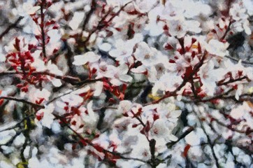 Acrylic painting on canvas art poster in floral motif. Modern style fashion artwork. Contemporary digital big size print in high resolution. Surreal cherry in bright blossom. Graphic fantasy drawing.