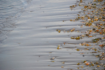 sea water along the coast