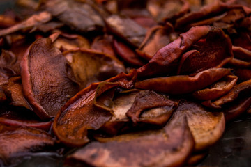 dried red pepper background