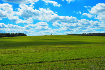 green field and blue sky