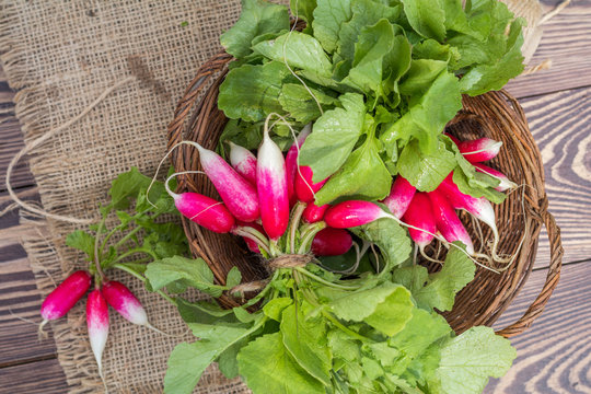 Bunch of fresh radishes in a wicker basket outdoors on the table