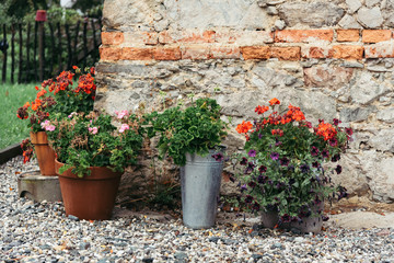 Blumen vor Hausmauer