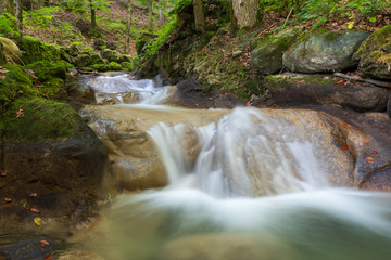 Bach mit Wasserfall im Wald im Herbst