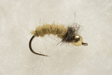 Gold Head Caddis pupa fly for flyfishing 
