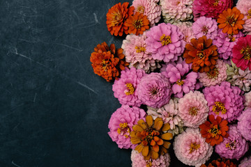 Bunch of Zinnia flower heads from garden laying on chalkboard background.