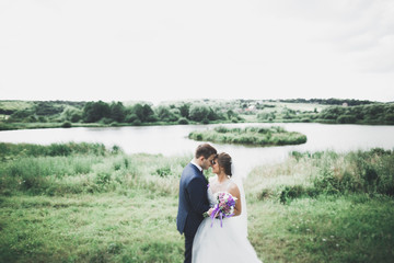 Perfect couple bride, groom posing and kissing in their wedding day