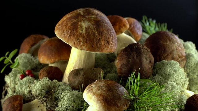 Forest mushrooms. Cepes. Natural product. Delicacy Rotation 4K