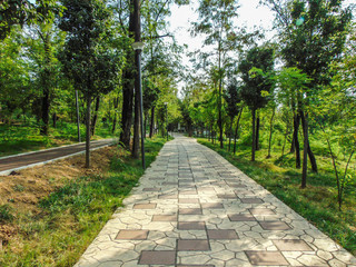 The Great Park of Tirana.