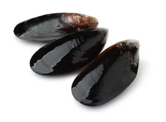 Foto op Plexiglas Three black whole shell mussels © Coprid
