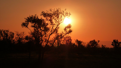 Obraz na płótnie Canvas Kruger park sunset